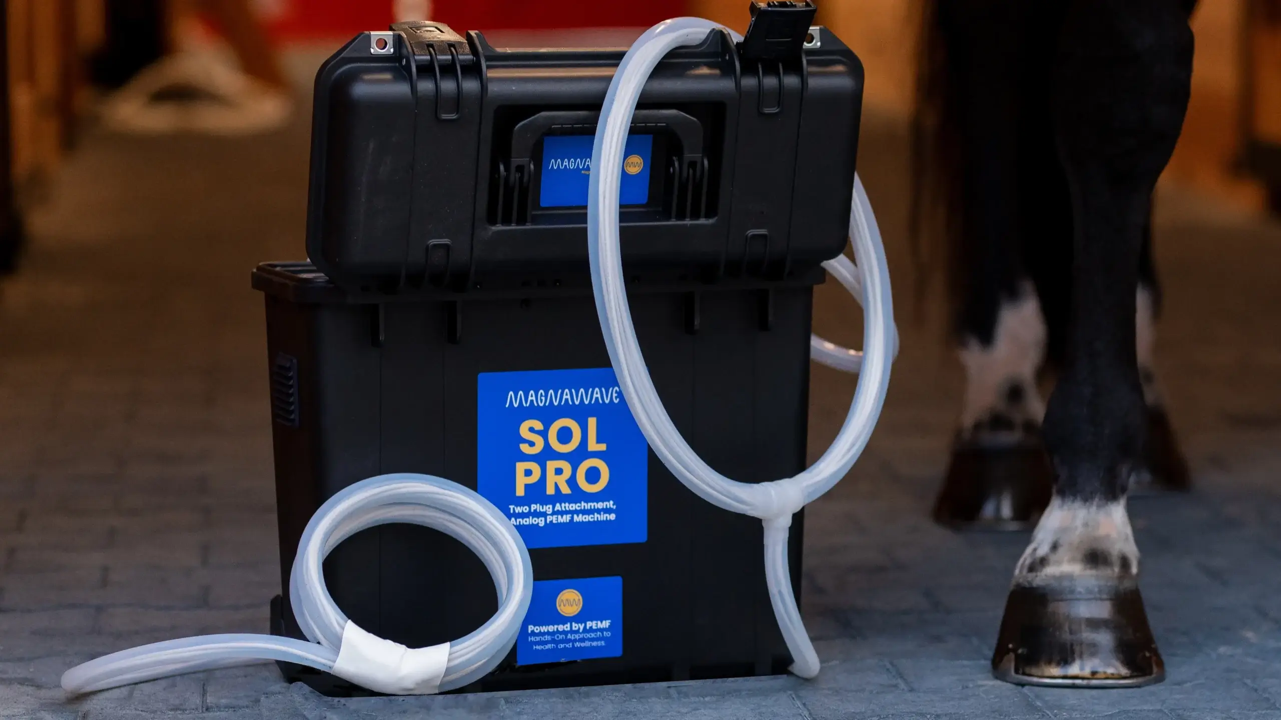MagnaWavePEMF Sol Pro PEMF machine with the Butterfly Loop and Large Loop attachments, all next to a horse hoof in a stable.