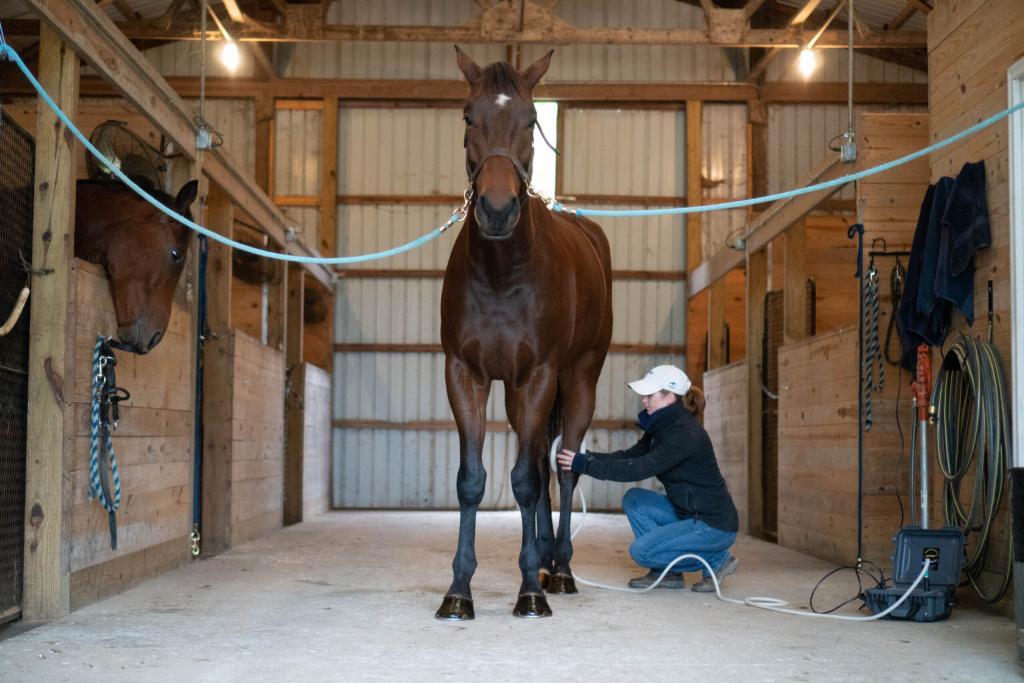 Rose Napravnik applying MagnaWavePEMF PEMF therapy to her horse's hind leg.