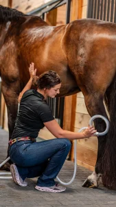 A woman using the MagnaWavePEMF Butterfly Loop on her horse's left hind leg